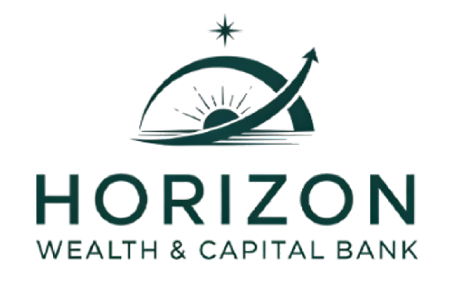 Security Verification - Horizon Wealth & Capital Bank